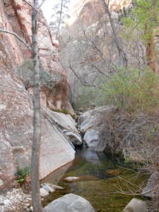 At the base of Chasing Shadows